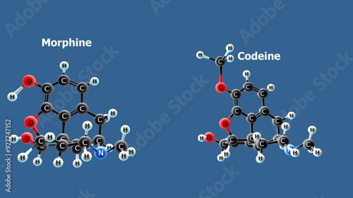 Morphine and codeine structural formula photo