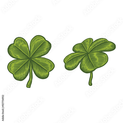 Clover leaf hand drawn illustration in vintage engraving style