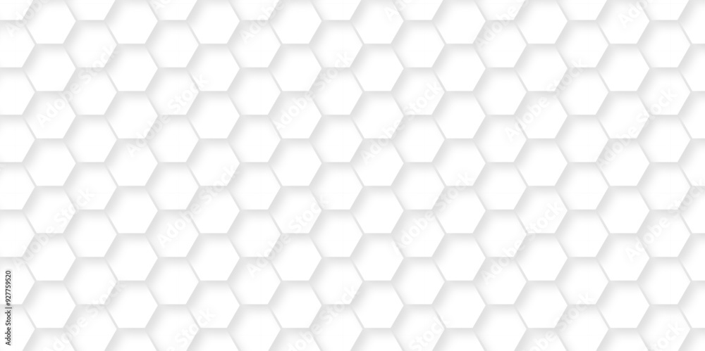 Abstract White Hexagonal Background. Luxury White Pattern. Vector Illustration. 3D Futuristic abstract honeycomb mosaic white background. geometric mesh cell texture. modern futuristic wallpaper. Abstract White Hexagonal Background. Luxury White Pattern. Vector Illustration. 3D Futuristic abstract honeycomb mosaic white background. geometric mesh cell texture. modern futuristic wallpaper.