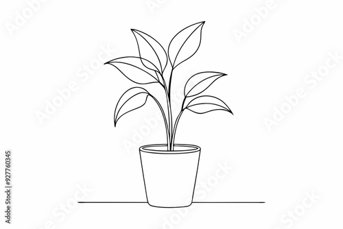 House plant in a pot doodle outline, Potted plant line art vector illustration