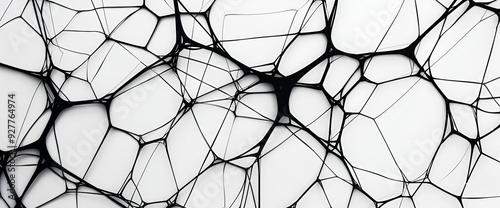 texture of the wall, An abstract pattern of interconnected black lines creating a network resembling organic structures on a white background.