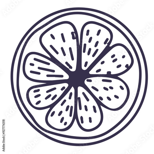 Line vector illustration of orange slice. Hand drawn icon