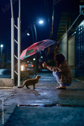 The girl is holding an umbrella over a homeless cat on a rainy night