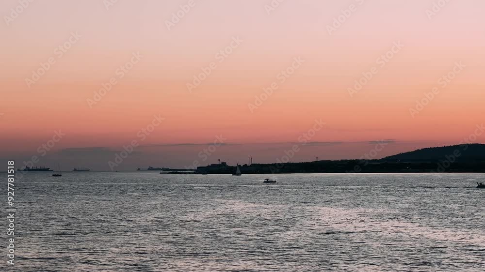 Summer beautiful seascape, pink sky at sunset, warm sea, sailboat on horizon, palm tree, birds silhouette Summer beautiful seascape, pink sky at sunset, warm sea, sailboat on horizon, palm tree, birds silhouette