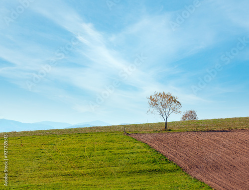 Autumn Carpathian hill landscape (Ivano-Frankivsk oblast, Ukraine). Rural scene with field. photo