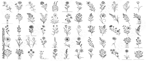 flowers in doodle style hand drawn large collection vectors oneline