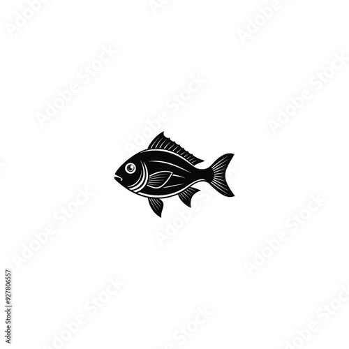 sea Bream species of freshwater and marine fish isolated monochrome sketch photo