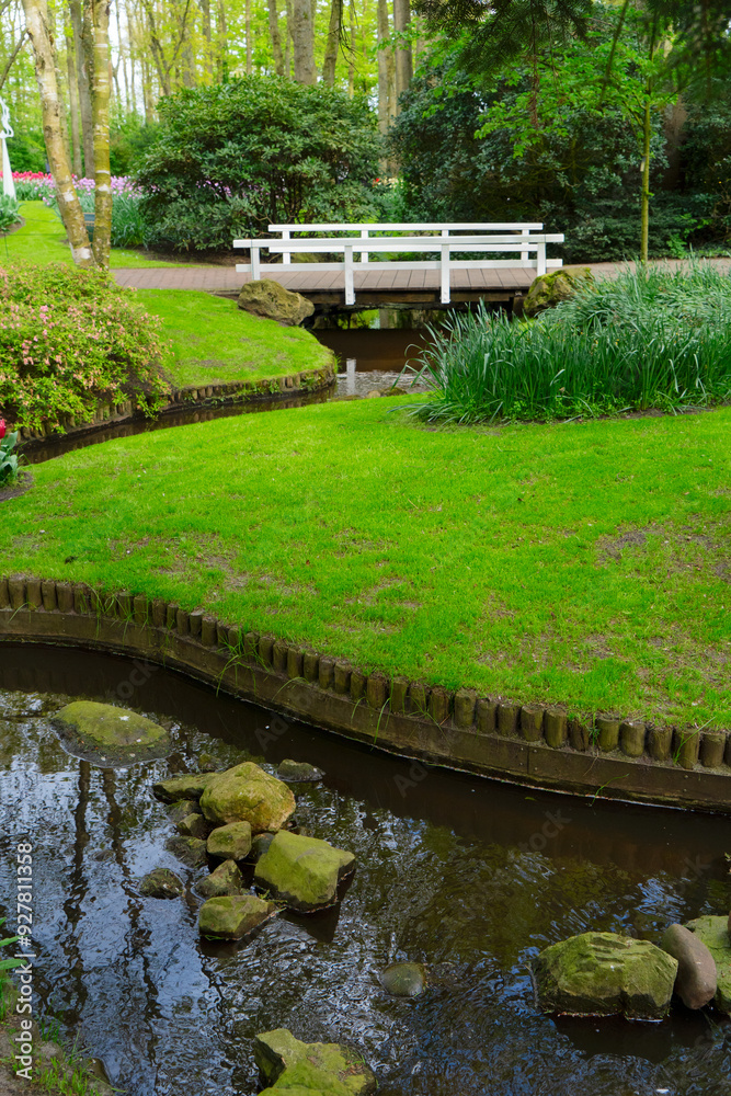 Obraz premium fresh lawn with flowers