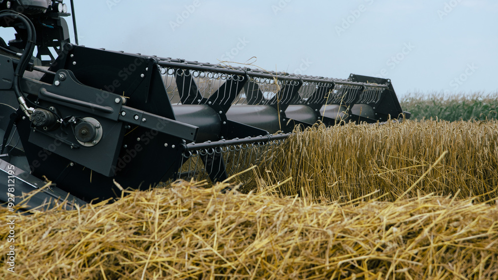 Close-up of a combine harvester in action, cutting through a dense wheat field. Modern farming technology designed for high-efficiency grain harvesting. Agricultural machinery.