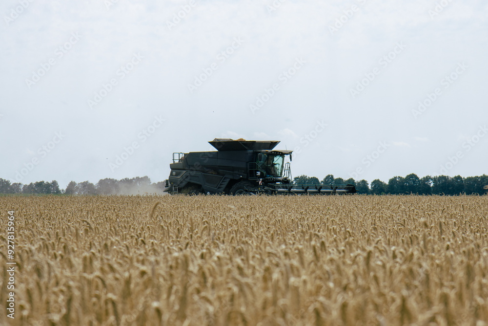 Combine harvester in a wheat field, mid-distance view, capturing the harvesting process. Efficient agricultural machinery working during harvest season. Farming technology in action.