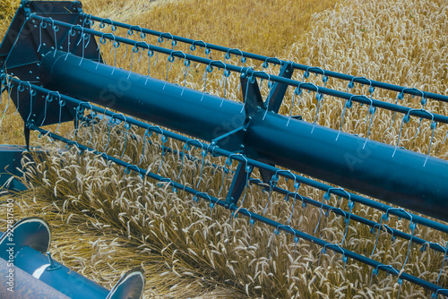 View of a combine harvester's cutting bar from the cab, capturing the wheat harvesting process. Modern agricultural machinery in action during harvest season. Farming efficiency.