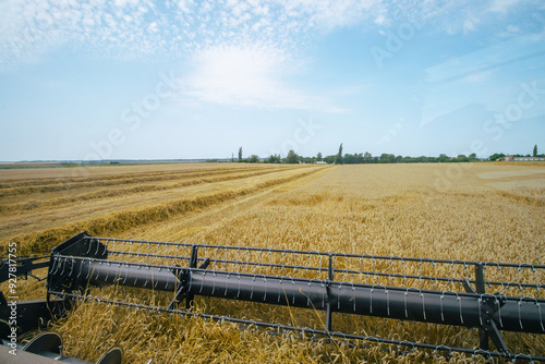 Obraz na płótnie View of a combine harvester's cutting bar from the cab, capturing the wheat harvesting process. Modern agricultural machinery in action during harvest season. Farming efficiency. w salonie