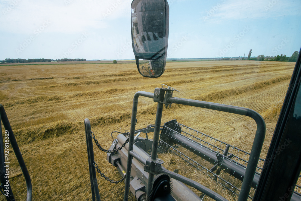 View from inside a combine harvester, overlooking golden wheat fields during harvest. Agricultural machinery in action, showcasing modern farming technology.