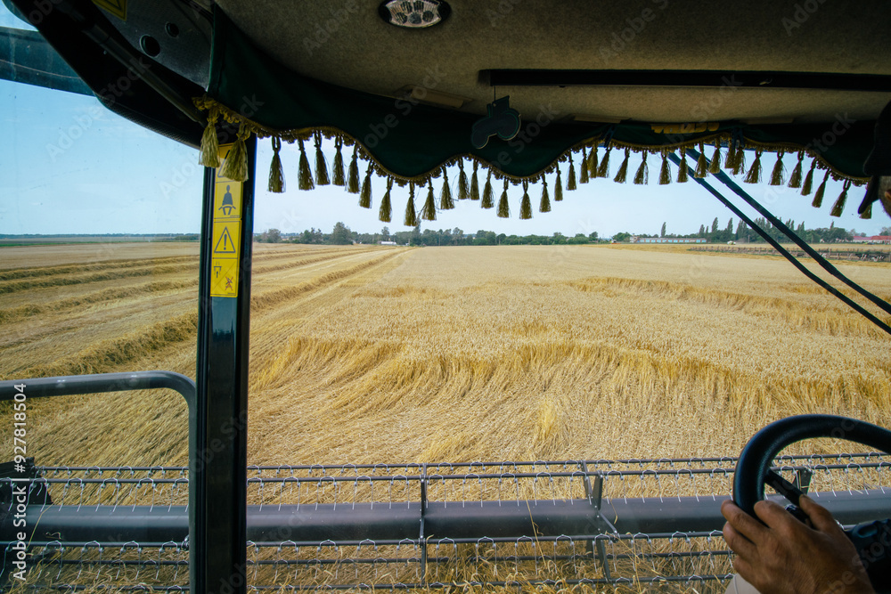 View from inside a combine harvester, overlooking golden wheat fields during harvest. Agricultural machinery in action, showcasing modern farming technology.