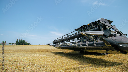 Obraz na płótnie Front view of a combine harvester working in a wheat field under a bright sky. High-efficiency agricultural machinery in action during harvest season. Farming technology and innovation. w salonie