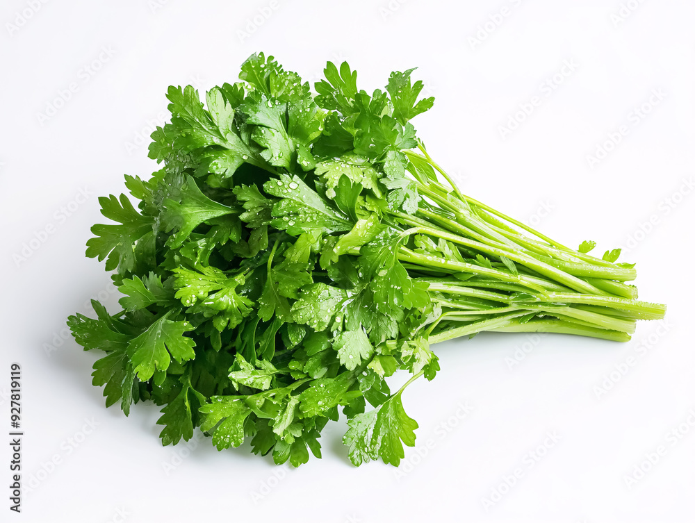 Bunch of fresh green parsley isolated on a white background. Bunch of fresh green parsley isolated on a white background.
