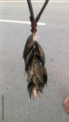 A group of fish caught from the river during the rainy season is threaded onto a wooden stick and offered for sale.