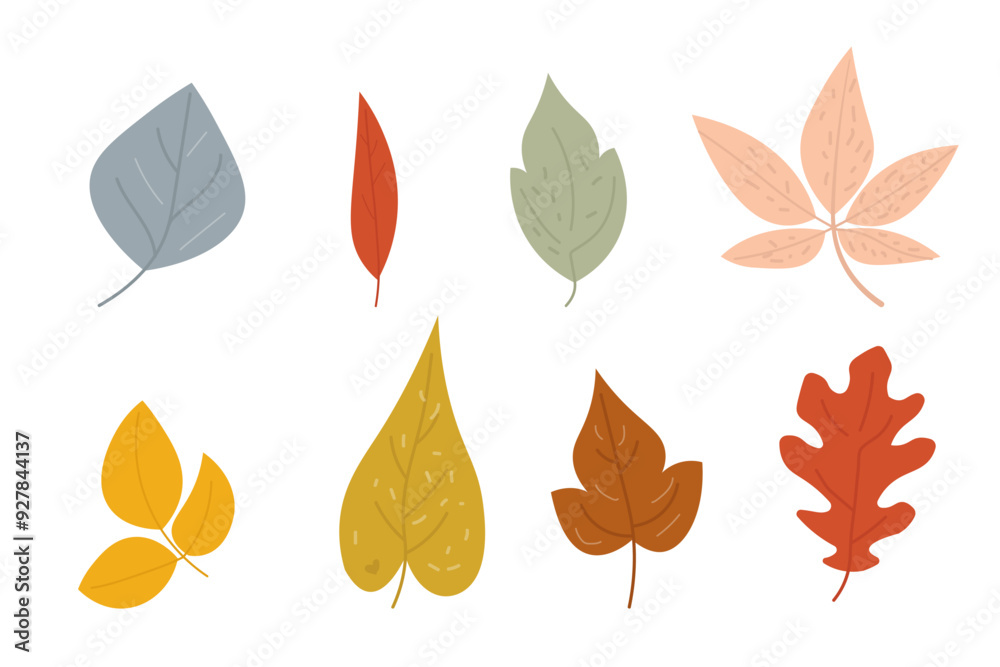 Fototapeta premium Set of autumn leaves in flat style