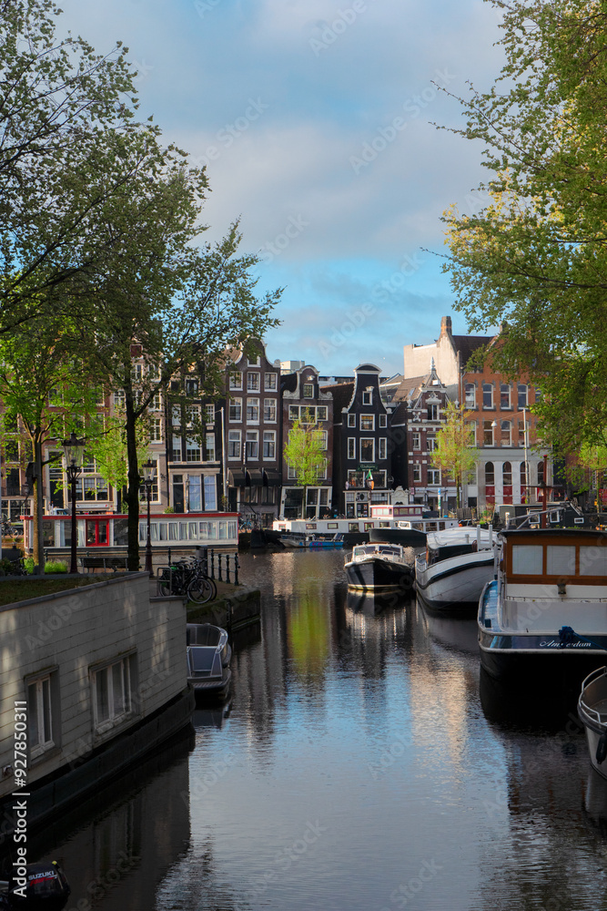 Fototapeta premium Houses of Amstardam, Netherlands