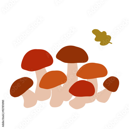 A group of colorful mushrooms growing together in a natural setting