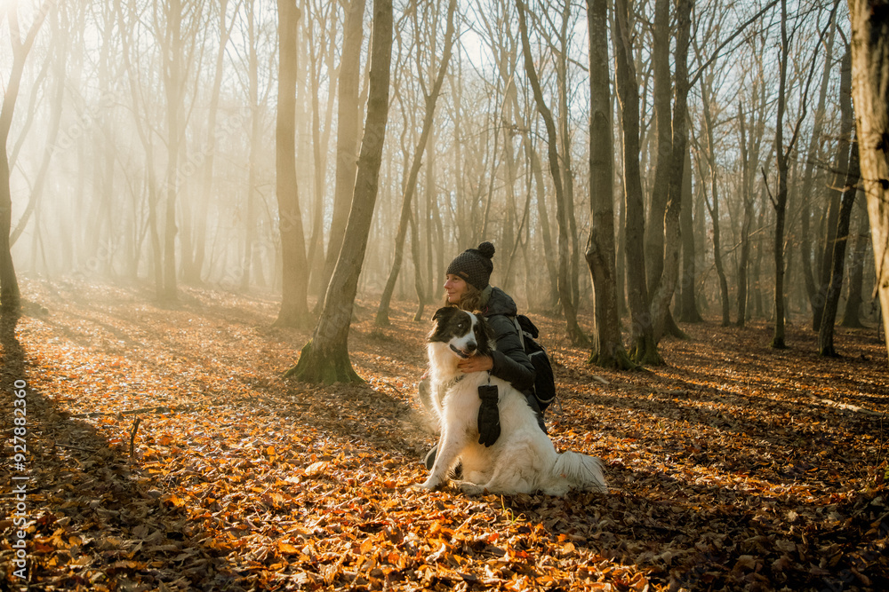 happy dog and owner in foggy forest happy dog and owner in foggy forest
