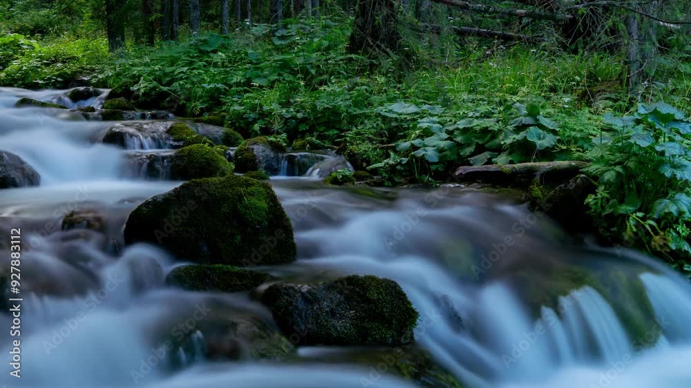 Crystal Mountain Stream in Lush Tatra Forest - Summer Day Scenery Crystal Mountain Stream in Lush Tatra Forest - Summer Day Scenery