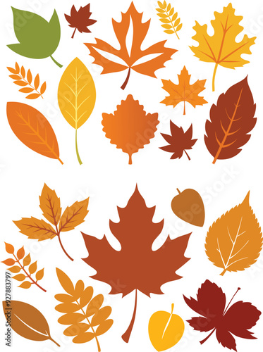 silhouette leaves set autumn on white background isolated, vector 