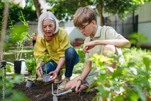 Teacher and young schoolboy during outdoor sustainable education, lesson in forest school. Planting vegetable seedling in soil. Concept of experiential learning and ecoliteracy.