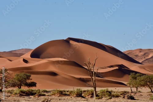 Sand dunes in Sesriem, Namibia. photo