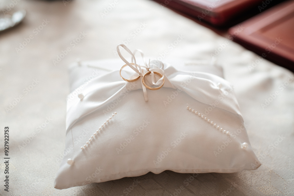 A white satin pillow with elegant wedding rings, perfect for wedding, romance, or engagement-themed projects. A white satin pillow with elegant wedding rings, perfect for wedding, romance, or engagement-themed projects.