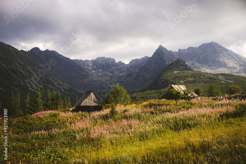 house in the mountains
