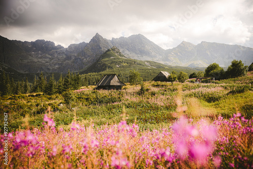 lake in the mountains