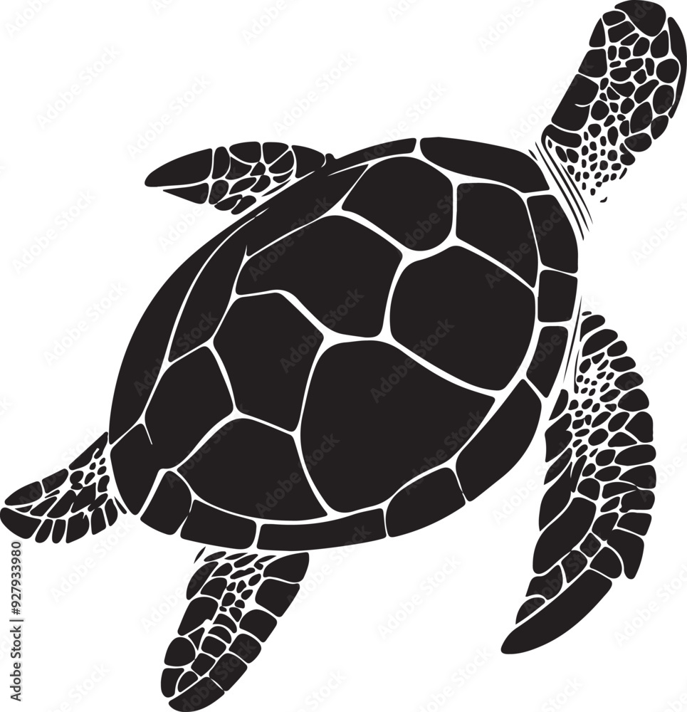 Fototapeta premium turtle tortoise silhouette vector