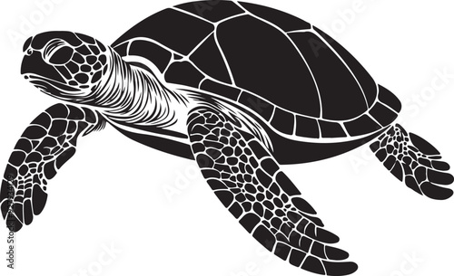 turtle tortoise silhouette vector
