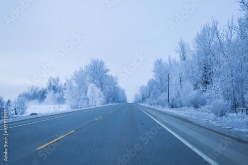 trees on both side of the road were covered with snow