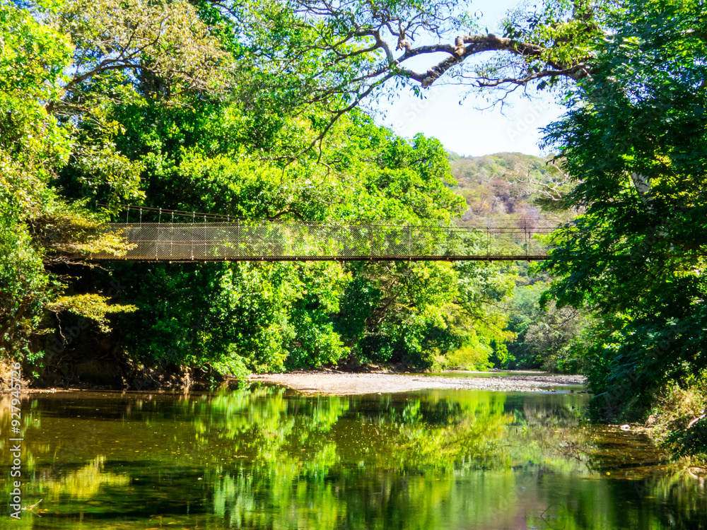 Pond in Florida, Santa Cruz, Costa Rica Pond in Florida, Santa Cruz, Costa Rica