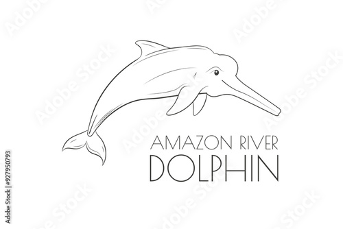 Illustration of a Animal - Amazon River Dolphin, Mammalia