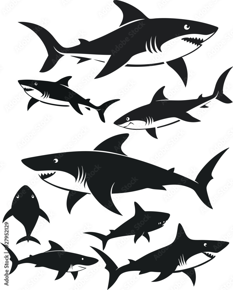 Obraz premium set of sharks in different poses silhouette, vector 