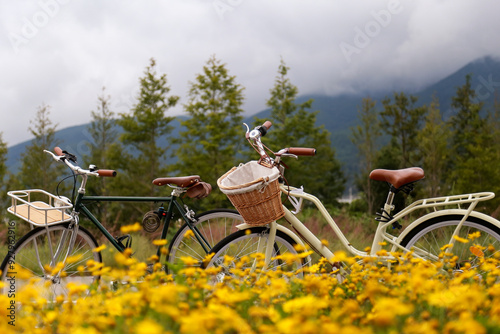 two bicycles by the flowers