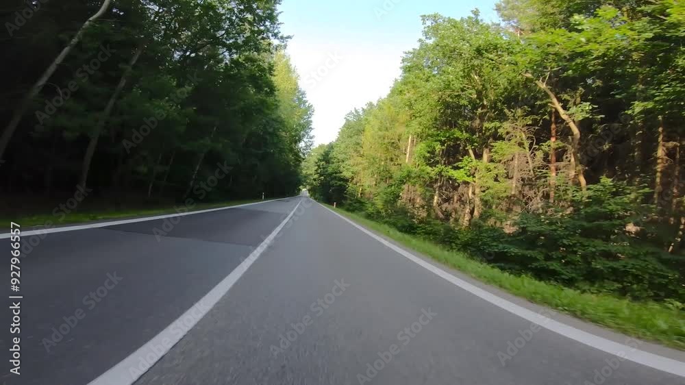 Fast riding on a motorcycle on asphalt with a lean in turns. First person view. Driving through a forest. Trees around. Spring, summer or autumn. Green and yellow colors. Fast riding on a motorcycle on asphalt with a lean in turns. First person view. Driving through a forest. Trees around. Spring, summer or autumn. Green and yellow colors.