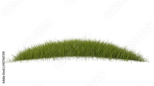 Lush green grass isolated on a transparent background.