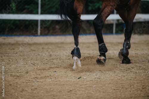 Close-up image of horse hooves trotting on a sandy ranch ground, showcasing motion and detail while wearing protective gear.