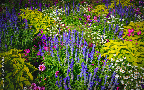 Beautiful vibrant colors of flowers in the summer garden #927974576