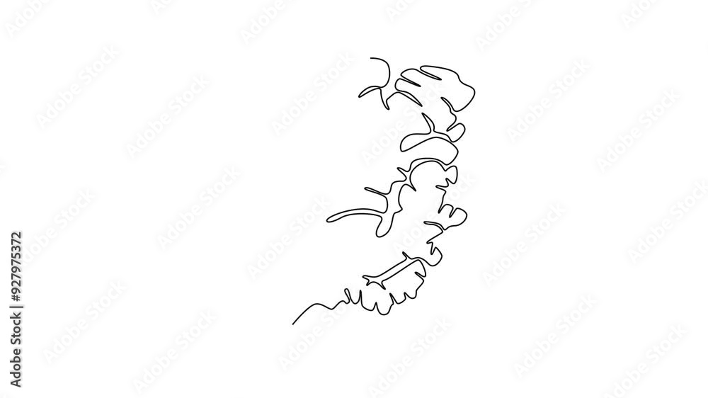 Animated self drawing continuous line draw whole healthy organic ginger for groceries logo identity. Fresh flowering plant rhizome concept herbaceous perennial icon. Full length single line animation Animated self drawing continuous line draw whole healthy organic ginger for groceries logo identity. Fresh flowering plant rhizome concept herbaceous perennial icon. Full length single line animation