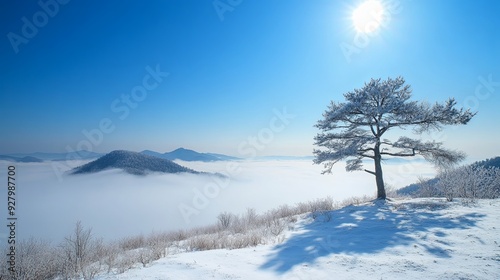 Breathtaking Landscape Photography of a Snowy Mountain Top with a Sea of Clouds, Captured with a Super Wideangle Lens for Super Clear, High Quality Clarity