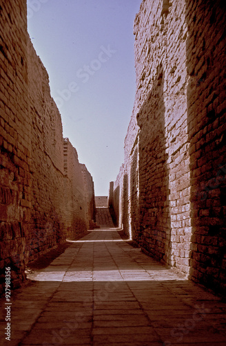 Moenjodaro streets were built to a precise grid.  The streets were designed to provide a shaded walk for the residents. photo