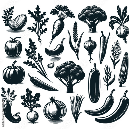 vegetable shiloute set vector