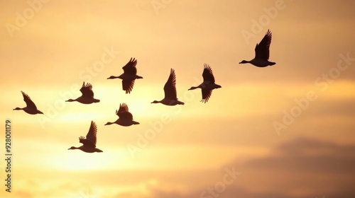Wallpaper Mural Autumn Overture: Migrating birds move south Torontodigital.ca