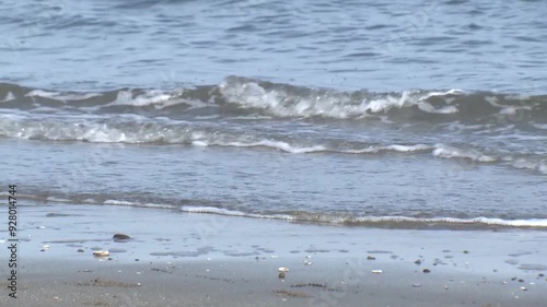 海岸の波打ち際の様子