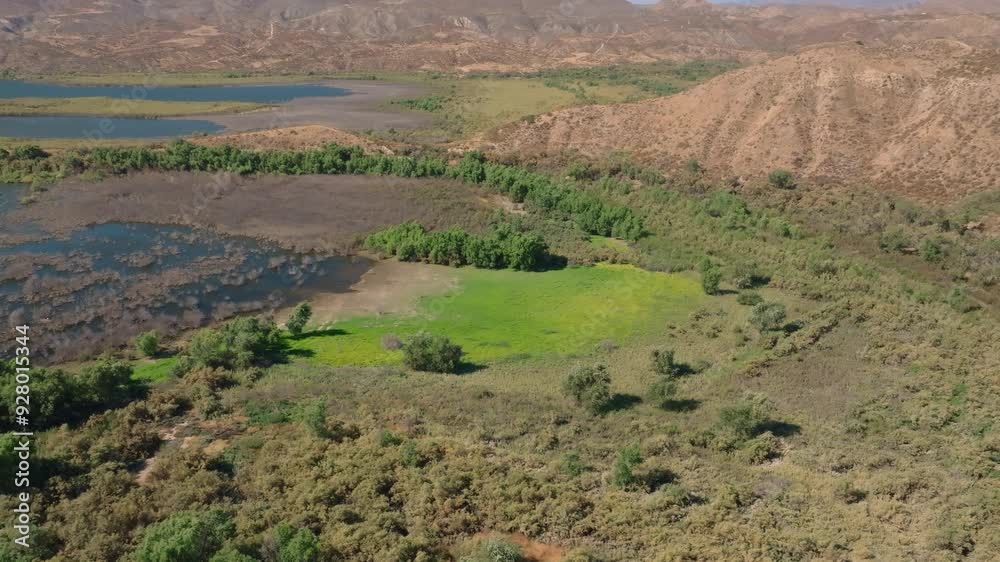 Vivid green grass on lake shore in Western Ranch Vivid green grass on lake shore in Western Ranch